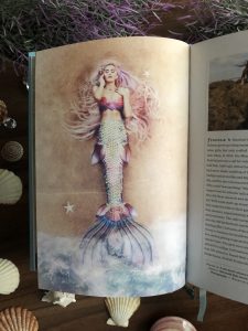 Inside Mermaid Handbook